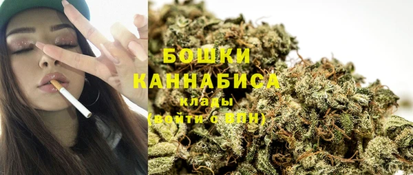 дмт Белокуриха
