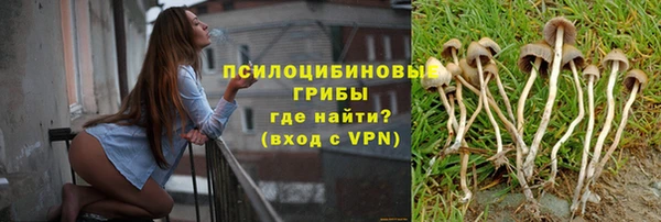 дмт Белокуриха