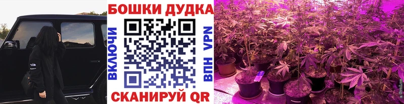 это формула  Всеволожск  гидра маркетплейс  МАРИХУАНА SATIVA & INDICA  закладка 